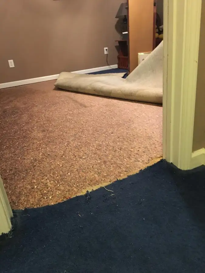 Carpet pad removal revealing water damage during Water Mitigation Services in North Port