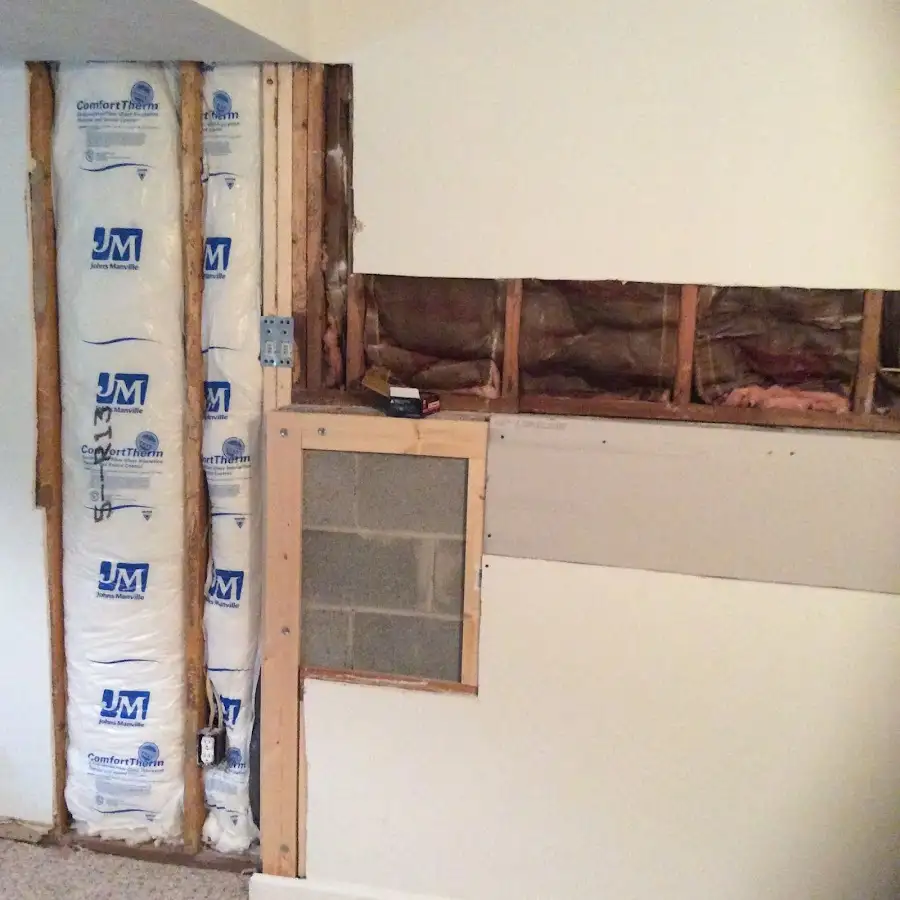 Wall insulation replacement during Odor Removal & Deodorization in North Port
